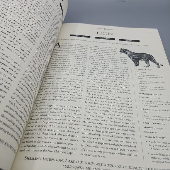 The Shaman's Guide to Power Animals by Lori Morrison Paperback - Picture 16 of 16